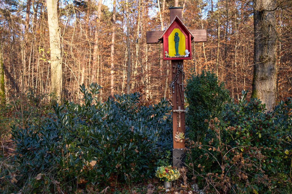 Unbenannter Beitrag 458