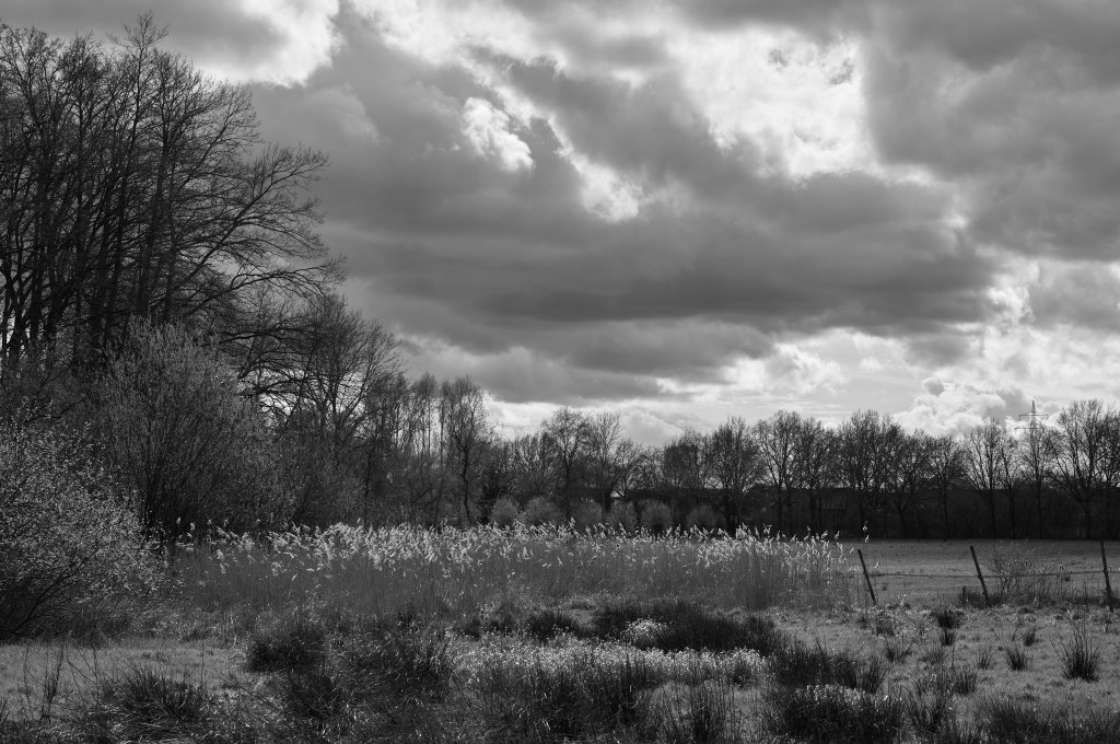 Unbenannter Beitrag 543