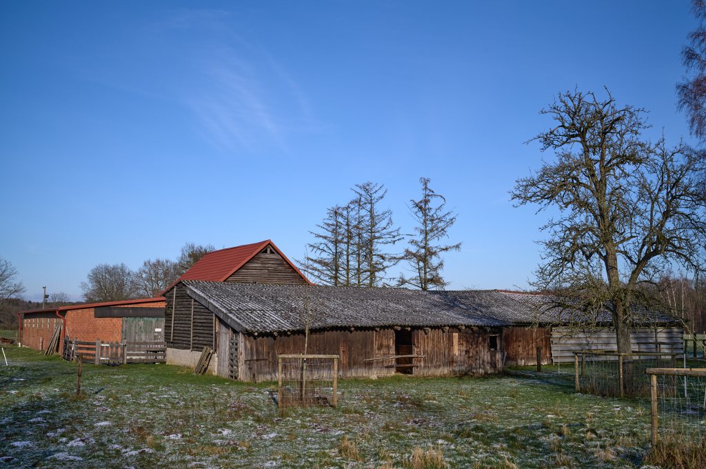 Unbenannter Beitrag 492