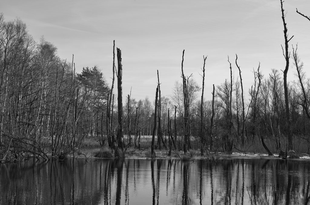 Unbenannter Beitrag 480