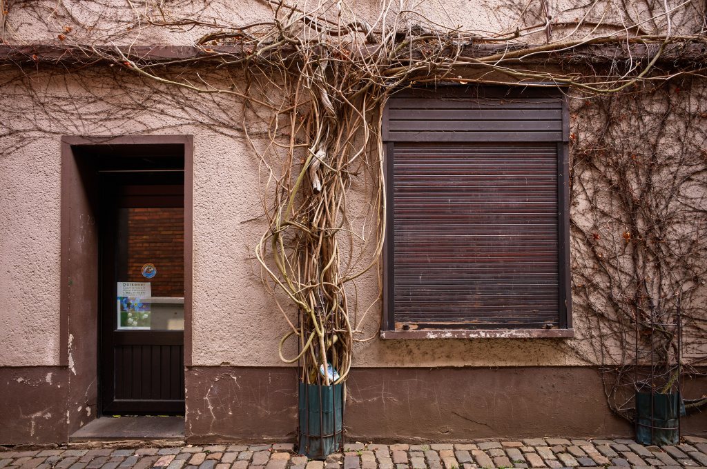 Unbenannter Beitrag 538