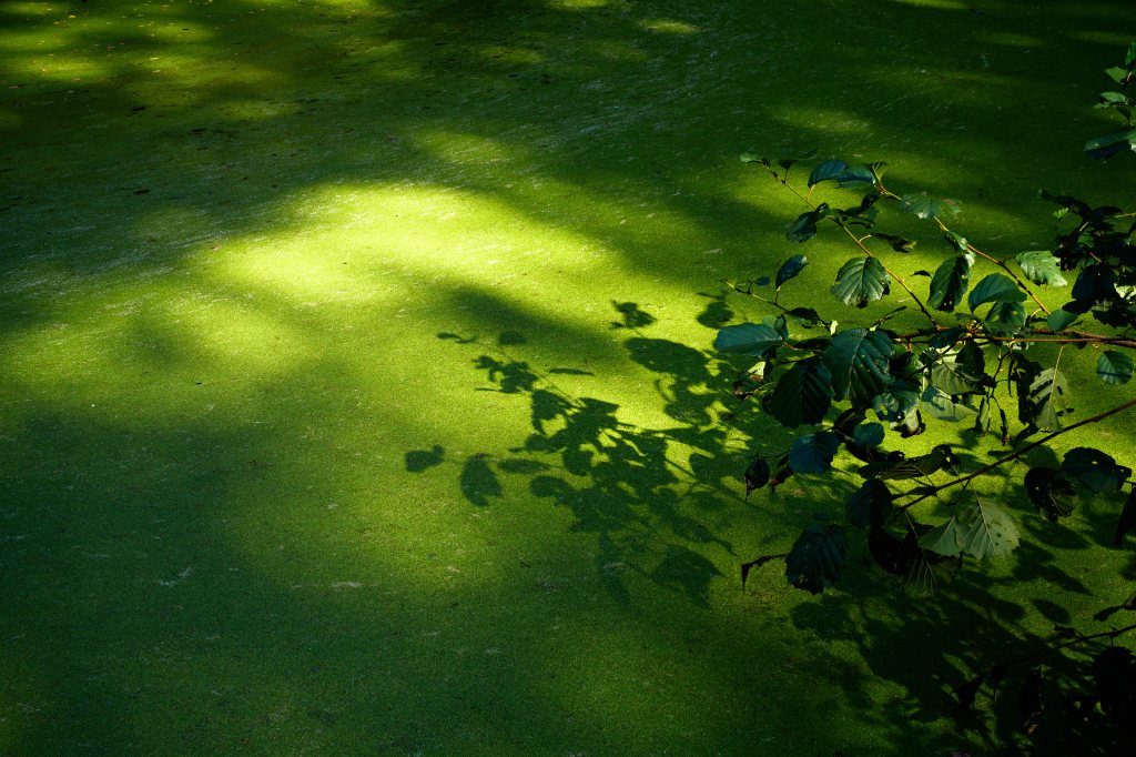 Unbenannter Beitrag 585