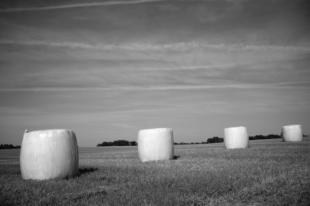 Unbenannter Beitrag 526