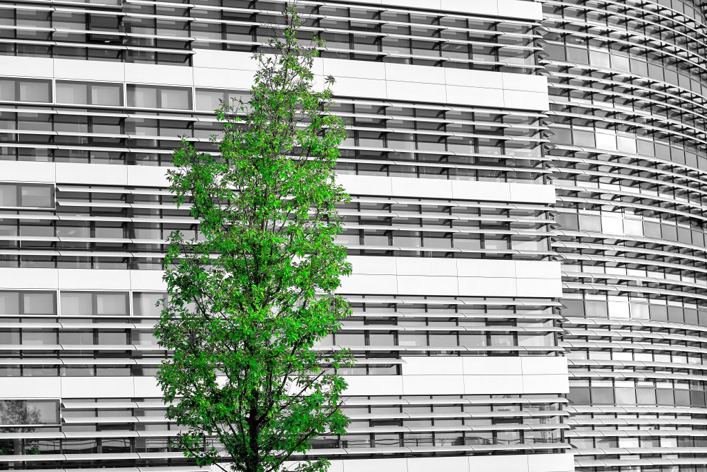 Unbenannter Beitrag 335