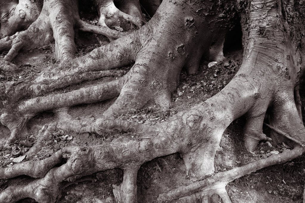 Unbenannter Beitrag 320