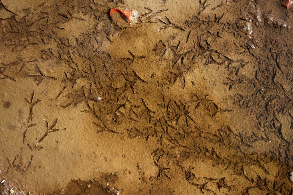 Unbenannter Beitrag 141