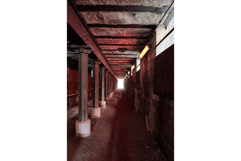 Unbenannter Beitrag 294