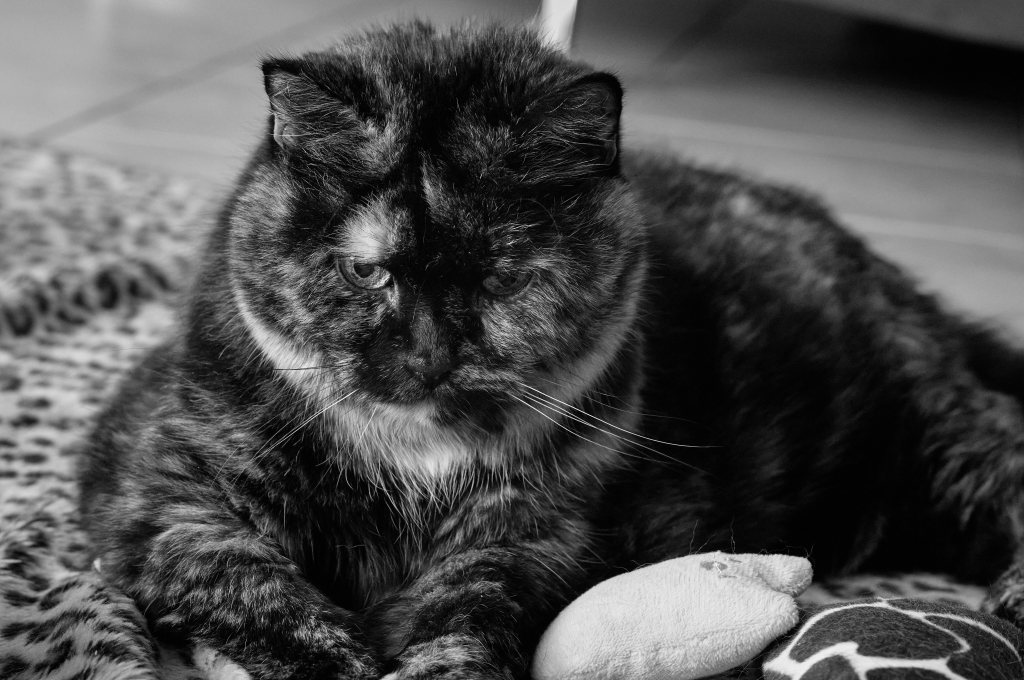 Unbenannter Beitrag 789