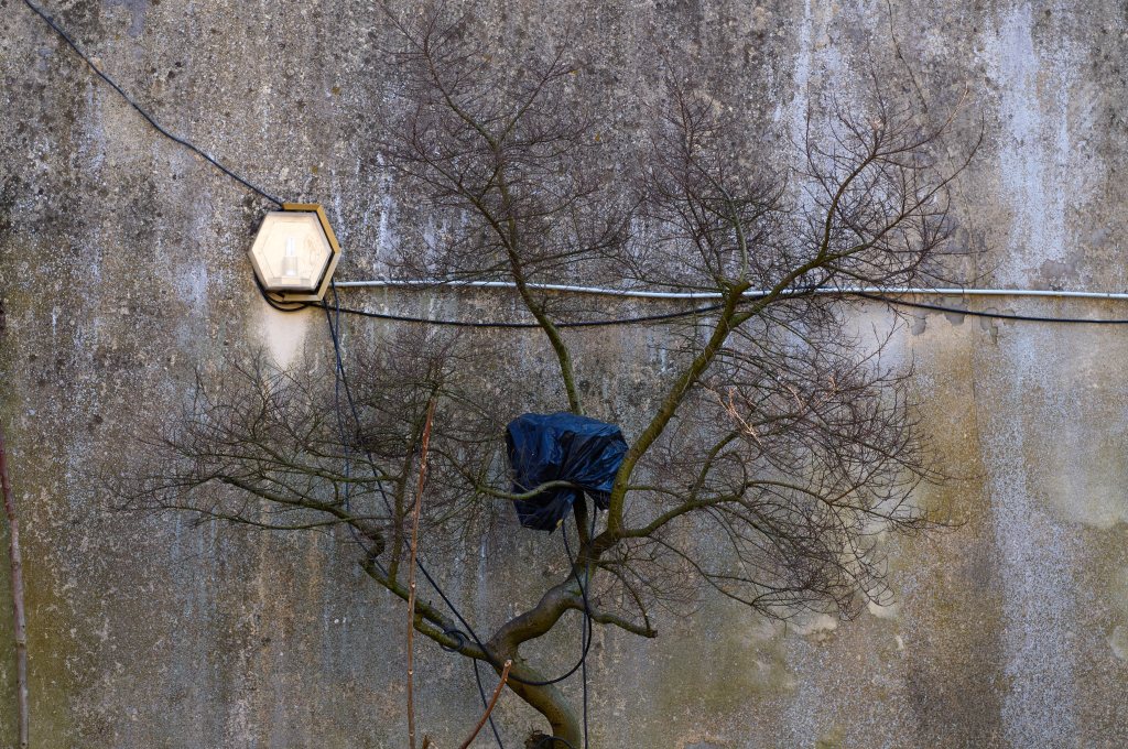 Unbenannter Beitrag 858