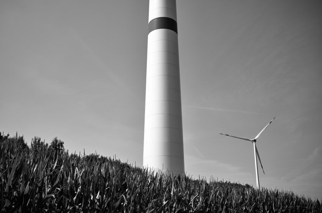 Unbenannter Beitrag 930