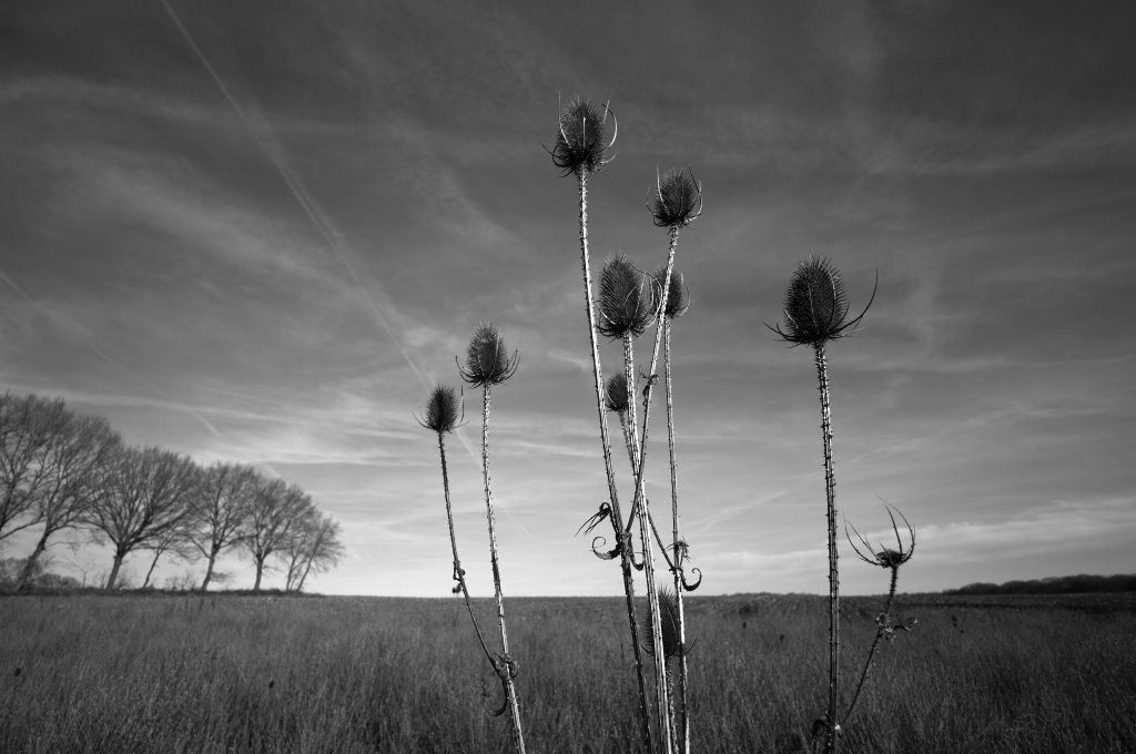 Unbenannter Beitrag 983